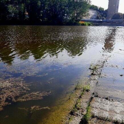 Come ci si sente a camminar sull'Arno?