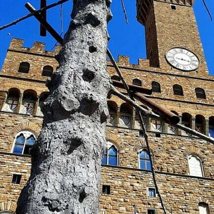 Piazza della Signoria a Firenze