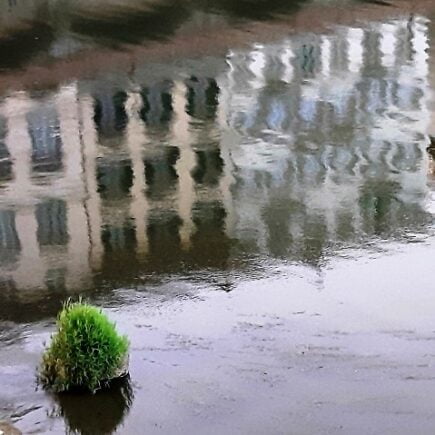 CHI L'HA DETTO CHE IN ITALIA NON SI POSSA VIAGGIARE CON SPIRITO D'AVVENTURA? 13 riflessi di palazzi sull'Arno